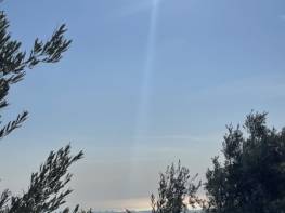 ÇİFTEPINAR’DA DOĞA HARİKASI LİMON BAHÇESİ 