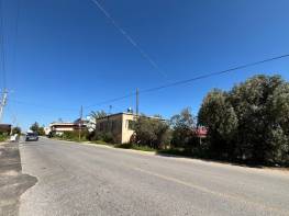 ???? İmara yakın bahçemiz 