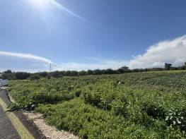 KARGIPINARI’NDA DENİZ VE DOĞA MANZARALI SATILIK BAHÇE 