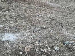 SİNAP KÜÇÜKFINDIK YOLUNDA ARSA 
